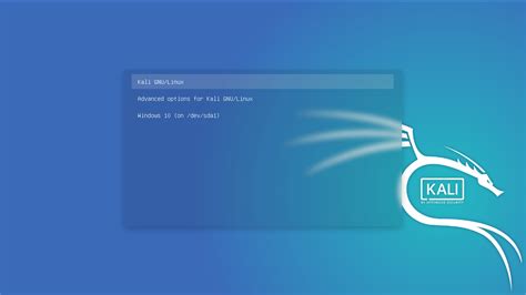 kali linux boot disk